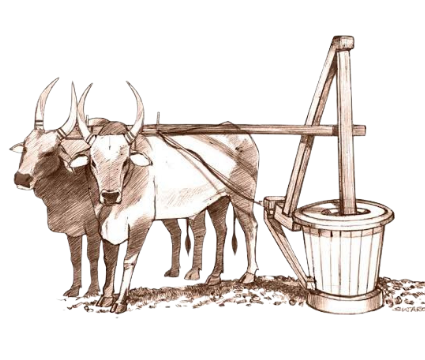 our-philosophy-image